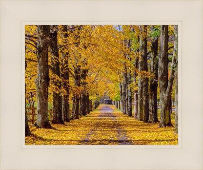 Plate 1 - Dairy Hill Horizontal