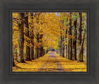 Plate 1 - Dairy Hill Horizontal