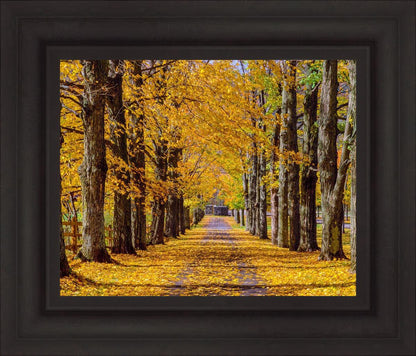 Plate 1 - Dairy Hill Horizontal