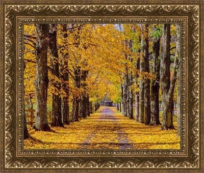 Plate 1 - Dairy Hill Horizontal