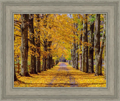 Plate 1 - Dairy Hill Horizontal