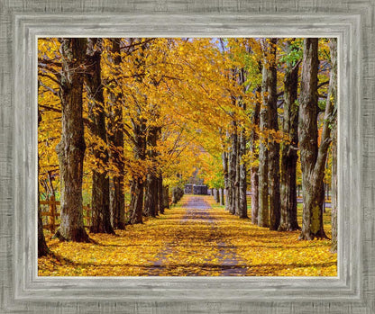 Plate 1 - Dairy Hill Horizontal