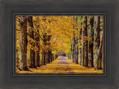 Plate 1 - Dairy Hill Horizontal