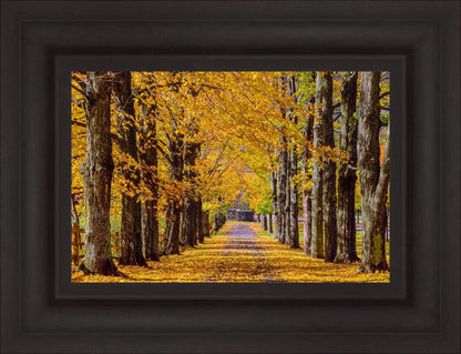 Plate 1 - Dairy Hill Horizontal