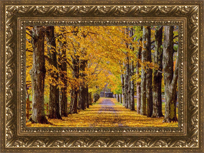 Plate 1 - Dairy Hill Horizontal