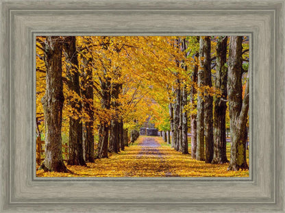 Plate 1 - Dairy Hill Horizontal