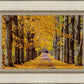 Plate 1 - Dairy Hill Horizontal