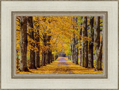 Plate 1 - Dairy Hill Horizontal