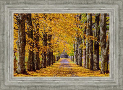 Plate 1 - Dairy Hill Horizontal