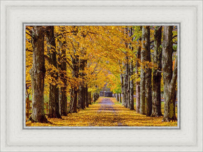 Plate 1 - Dairy Hill Horizontal