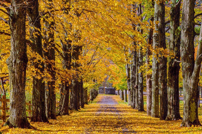 Plate 1 - Dairy Hill Horizontal