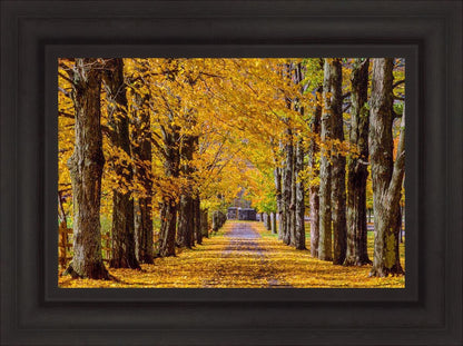 Plate 1 - Dairy Hill Horizontal