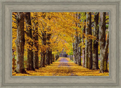 Plate 1 - Dairy Hill Horizontal