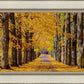 Plate 1 - Dairy Hill Horizontal