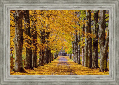 Plate 1 - Dairy Hill Horizontal