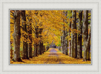 Plate 1 - Dairy Hill Horizontal