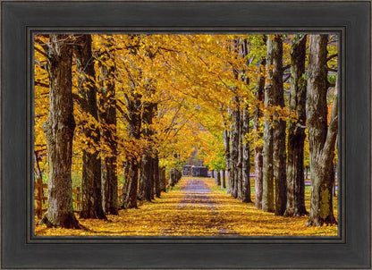 Plate 1 - Dairy Hill Horizontal