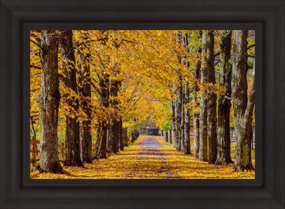 Plate 1 - Dairy Hill Horizontal