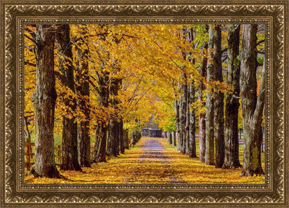 Plate 1 - Dairy Hill Horizontal