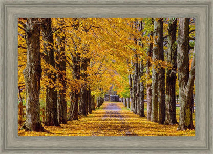 Plate 1 - Dairy Hill Horizontal