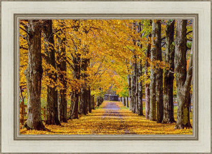 Plate 1 - Dairy Hill Horizontal