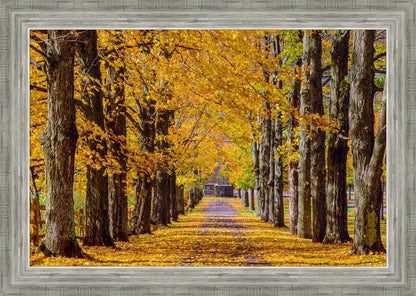 Plate 1 - Dairy Hill Horizontal