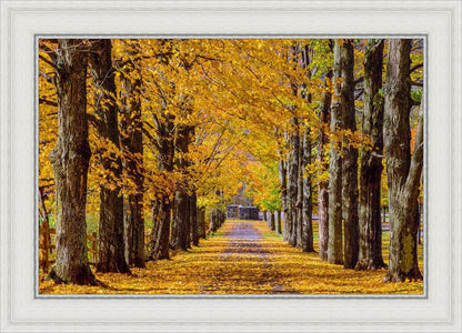 Plate 1 - Dairy Hill Horizontal