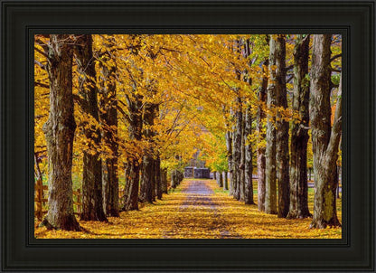 Plate 1 - Dairy Hill Horizontal