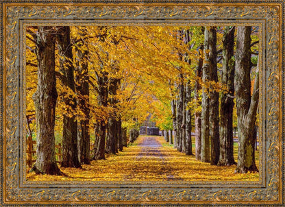 Plate 1 - Dairy Hill Horizontal