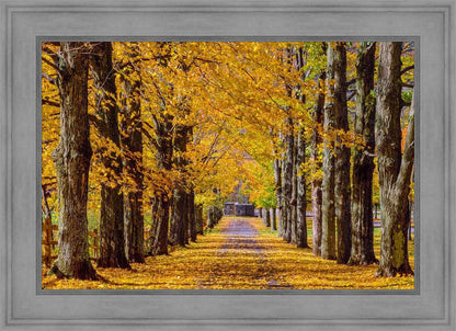 Plate 1 - Dairy Hill Horizontal