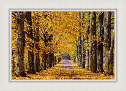 Plate 1 - Dairy Hill Horizontal