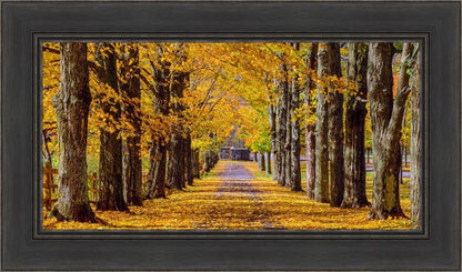 Plate 1 - Dairy Hill Horizontal