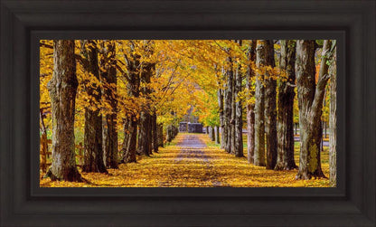 Plate 1 - Dairy Hill Horizontal