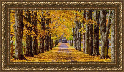 Plate 1 - Dairy Hill Horizontal