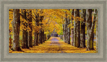 Plate 1 - Dairy Hill Horizontal