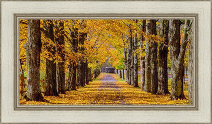 Plate 1 - Dairy Hill Horizontal