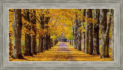 Plate 1 - Dairy Hill Horizontal