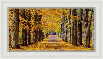 Plate 1 - Dairy Hill Horizontal