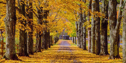 Plate 1 - Dairy Hill Horizontal