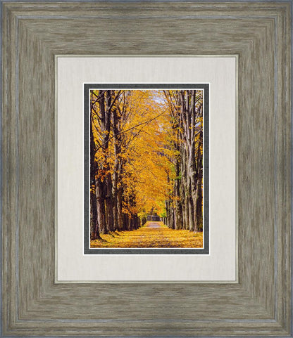 Plate 2 - Dairy Hill Vertical