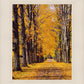 Plate 2 - Dairy Hill Vertical
