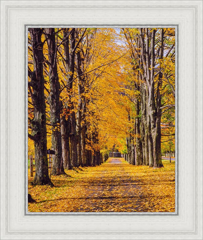 Plate 2 - Dairy Hill Vertical