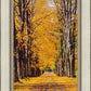 Plate 2 - Dairy Hill Vertical