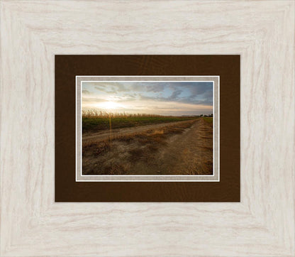 Plate 7 - Calm Before the Storm