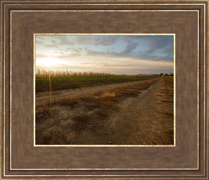 Plate 7 - Calm Before the Storm