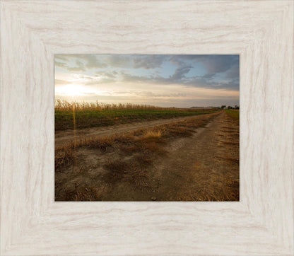 Plate 7 - Calm Before the Storm