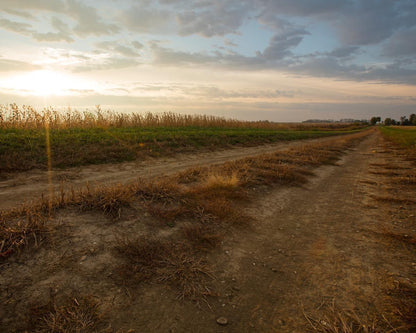 Plate 7 - Calm Before the Storm