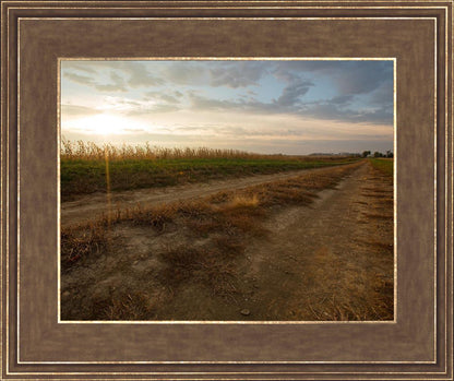 Plate 7 - Calm Before the Storm