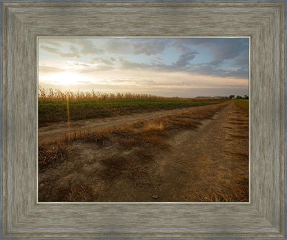 Plate 7 - Calm Before the Storm