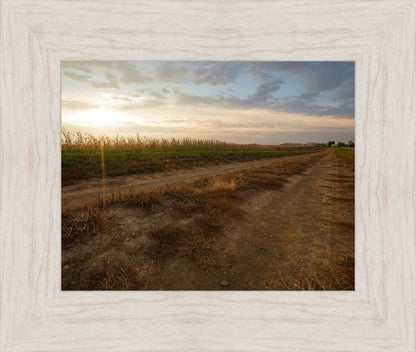 Plate 7 - Calm Before the Storm